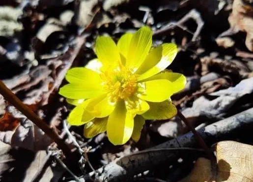 Погода для пикников и субботников ожидается в ЕАО 10 апреля