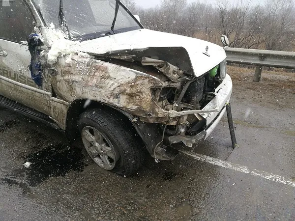 Убил авто, переоценив свои возможности, гонщик в ЕАО