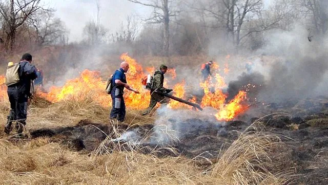 Горели трава, мусор, крыши домов: 13 раз за сутки выезжали на тушение пожаров спасатели ЕАО