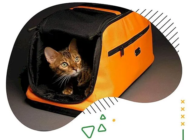 Исполнит любое желание вашего питомца зоомагазин «Золотая рыбка» в Биробиджане