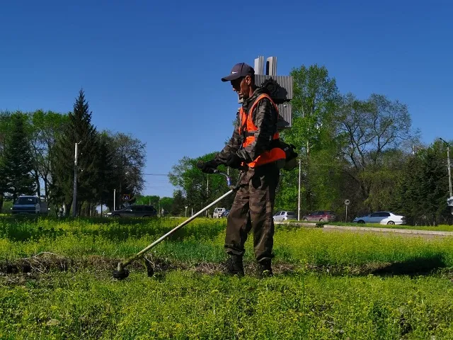 Уже пора: косить траву вдоль автодорог начали в Биробиджане