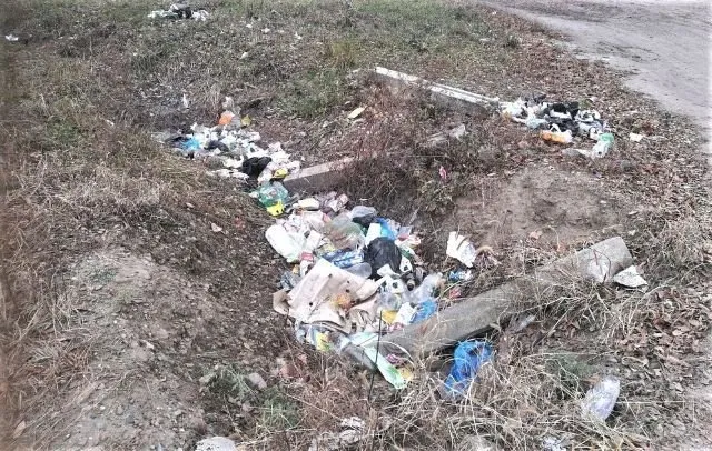 Лишать транспортного средства за сброс отходов из машин предлагают законотворцы в России