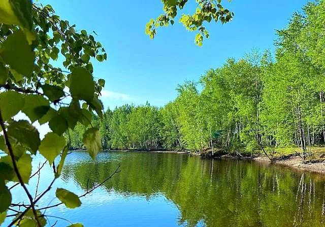 Незабываемые впечатления подарит вам база отдыха «Лесное озеро» в ЕАО