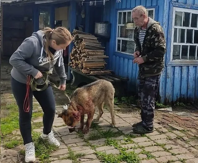 Возбуждено уголовное дело о жестоком обращении с животным на жителя Биробиджана