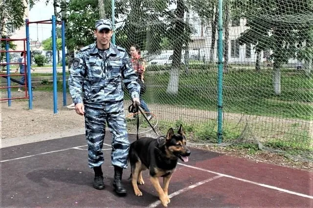Рискуют жизнью вместе с сотрудниками полиции четвероногие питомцы в ЕАО