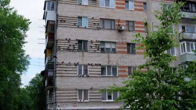 Дожди накроют ЕАО в начале июля - погода на 1 июля