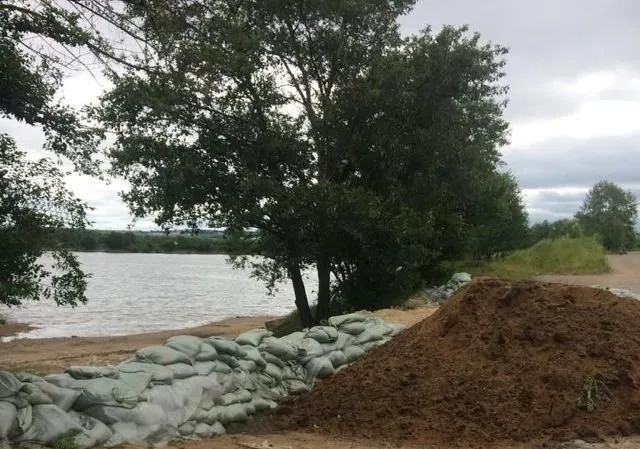Амур тронулся вниз: гидрологическая обстановка в ЕАО на 8 июля