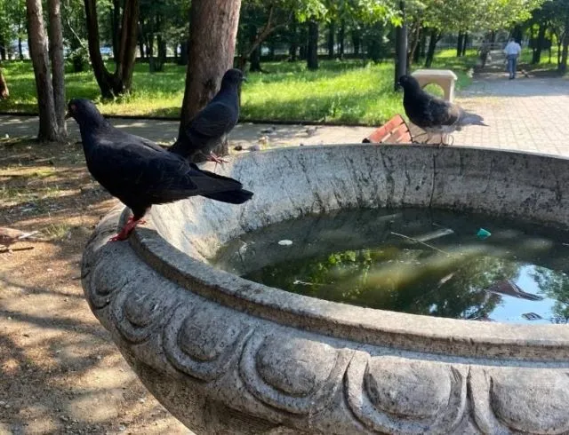 До 35°С прогреется температура воздуха на территории ЕАО 22 июля