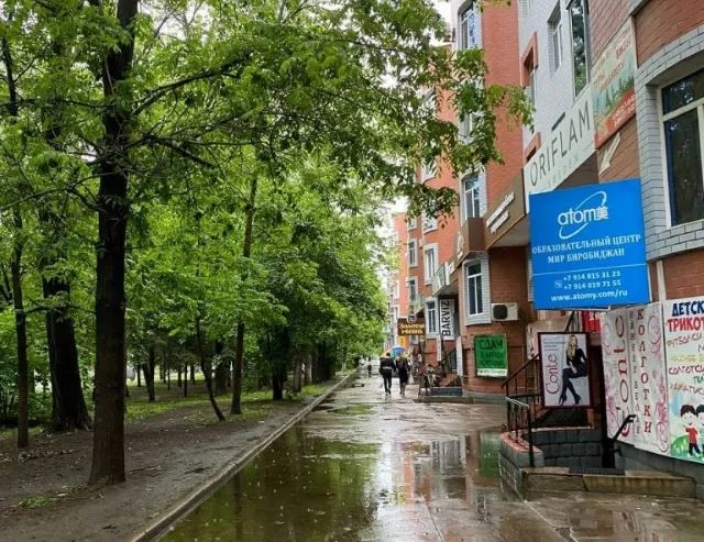 Дожди до конца недели прогнозируются в ЕАО