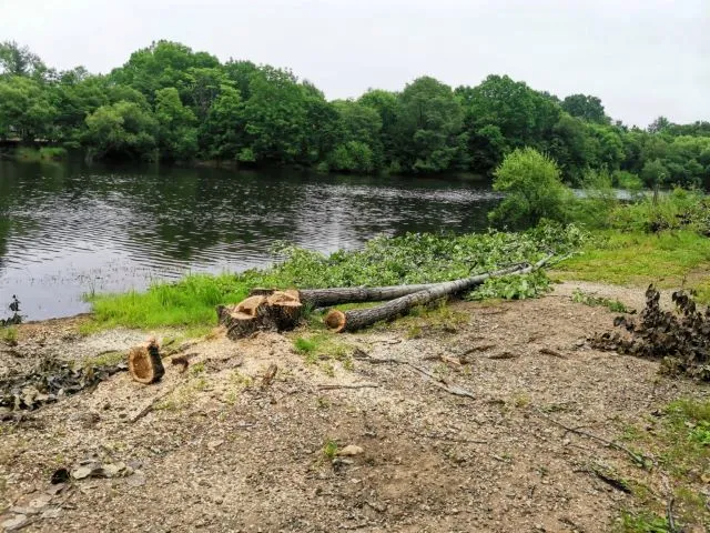 Реконструкция городского парка началась в Биробиджане