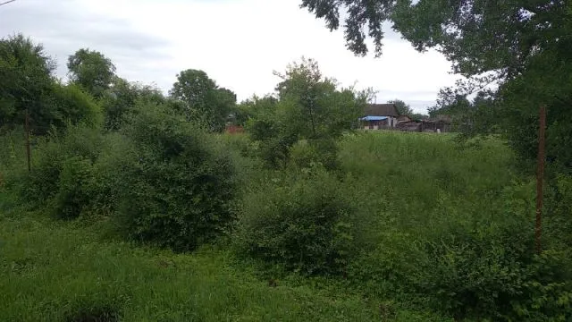 Заросшее поле станет спортивным объектом в ЕАО в рамках конкурса «Измени жизнь к лучшему»