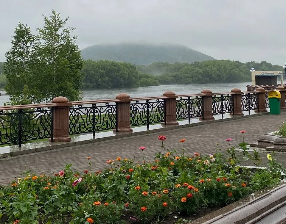 О погоде в ЕАО на ближайшие дни