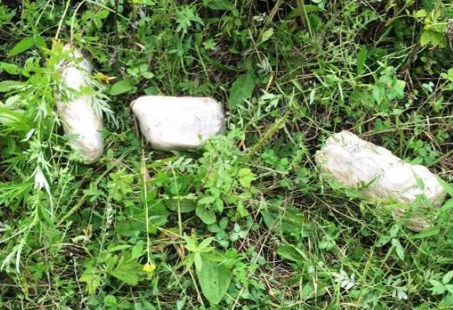 Пронести свёртки с запрещенным веществом на территорию ЛИУ-2 пытался житель ЕАО