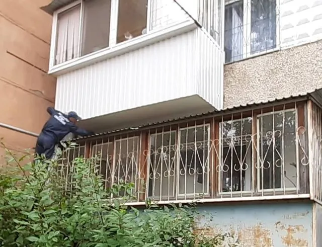 Кота Алексея спасли сотрудники МЧС во Всемирный день кошек в Биробиджане