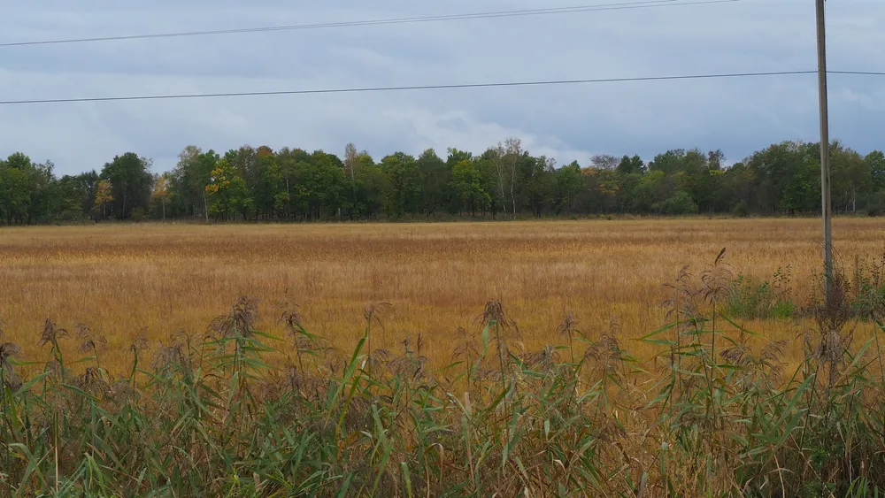 Более 200 гектаров бесхозных земель ЕАО засадили соей