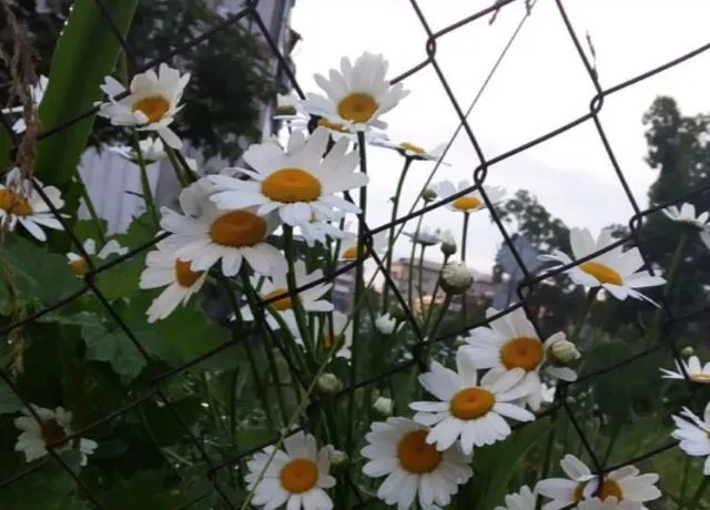 До +18°С  прогреется воздух в одном из районов ЕАО 27 августа