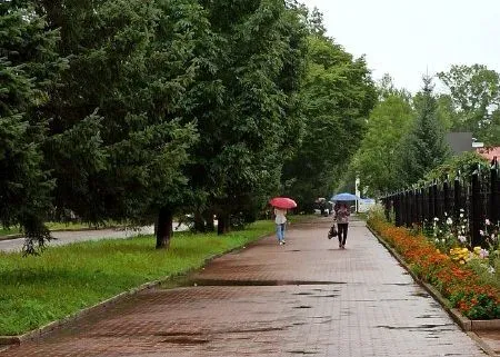 Дожди продолжат накрывать ЕАО 30 августа - прогноз погоды