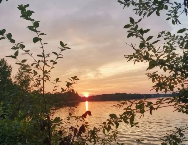 Ясно и тепло будет в трех районах ЕАО 12 августа