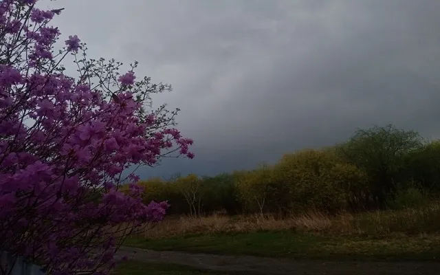 Жара возвращается в ЕАО - прогноз погоды на 2 августа