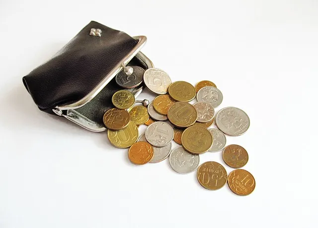 Украл деньги у пенсионерки и потратил их на спиртное житель Биробиджана