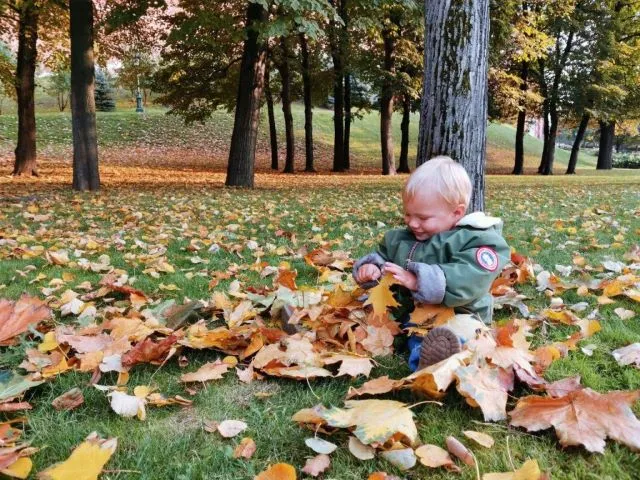 О наступлении астрономической осени рассказали синоптики - чего ждать?