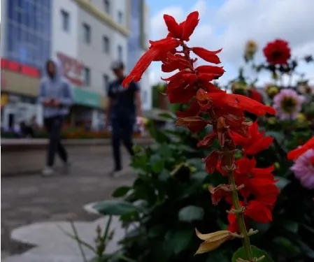Жара до 28°С прогнозируется в ЕАО 6 сентября