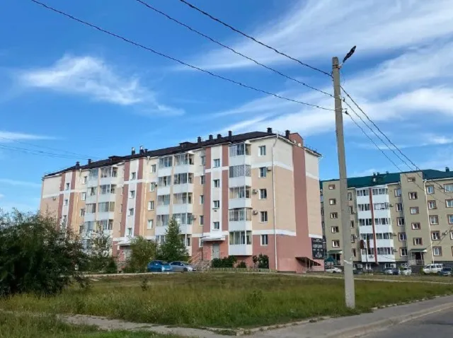 Угрожал взорвать бытовой газ и кидал в людей кирпичами рецидивист в Биробиджане