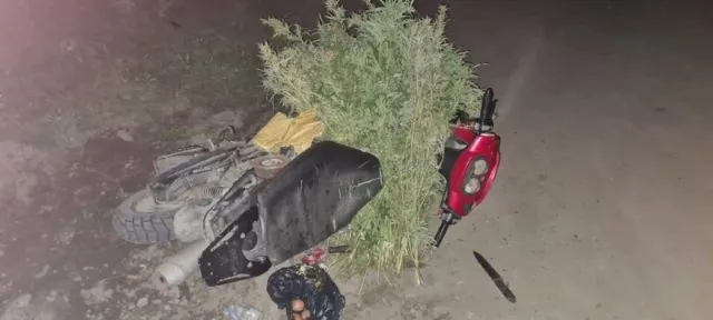 С коноплей на мопеде разъезжал житель Ленинского района ЕАО