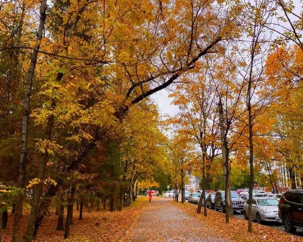 Ясно, но прохладно - погода на 5 октября в ЕАО