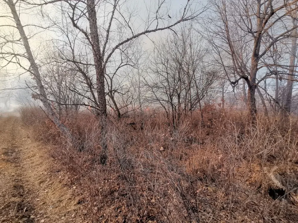 В Биробиджане вводится особый противопожарный режим