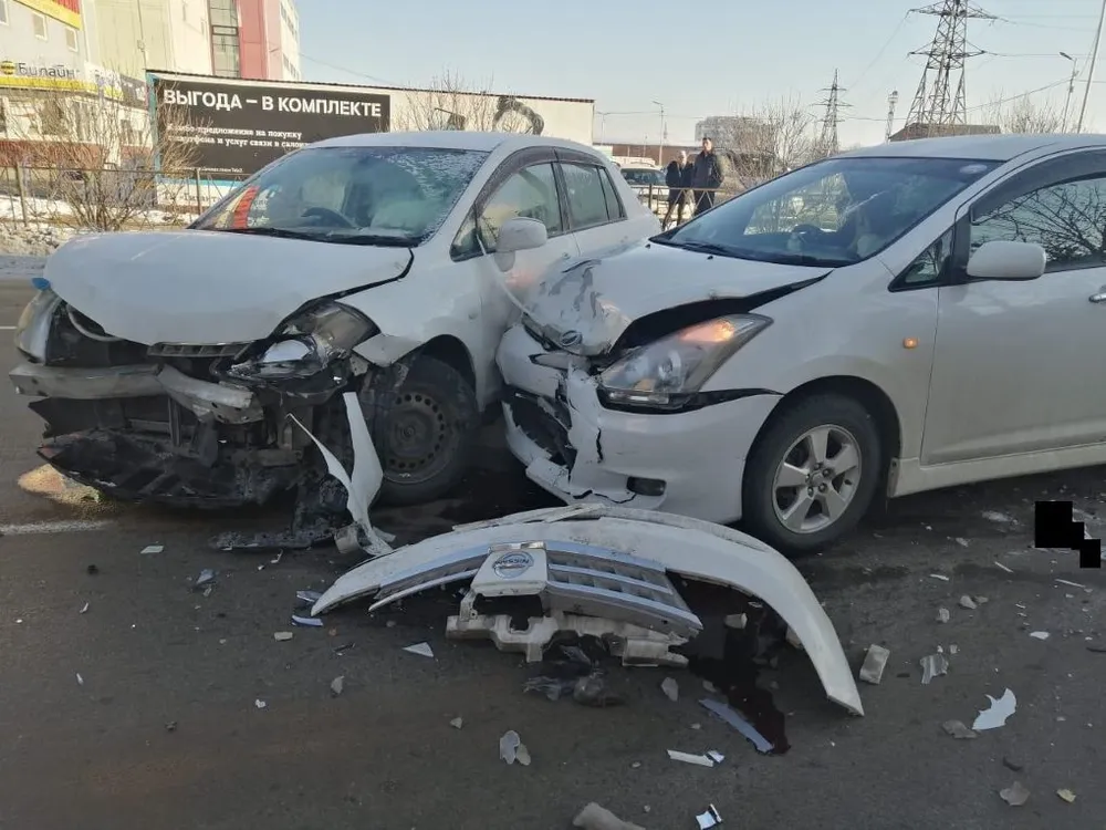 Внезапное появление собаки на дороге привело к жуткой аварии в центре Биробиджана