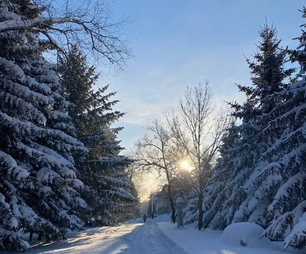 Ждать ли ещё осадков - погода в ЕАО до конца ноября