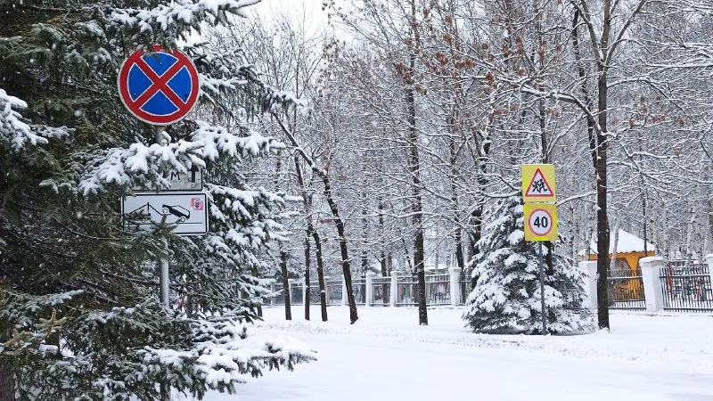 До -12°С обещают синоптики ночью в одном из районов ЕАО - прогноз погоды на 13 ноября