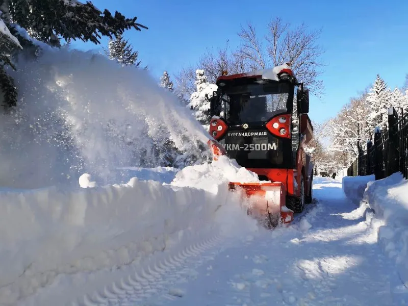 Порывы ветра и снег - какой погодой начнется зима в ЕАО