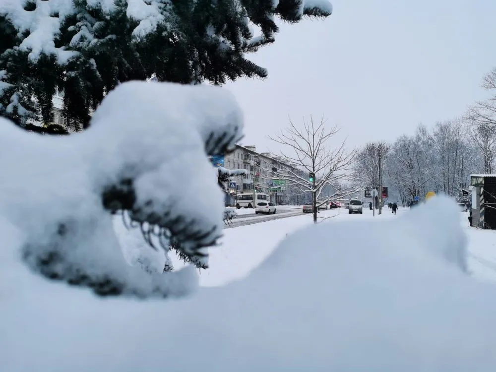 Какой будет погода 12 ноября в ЕАО