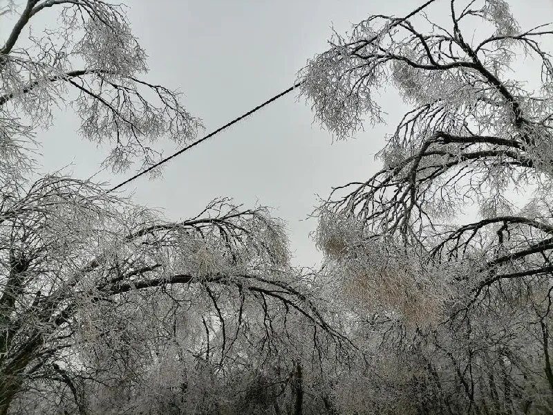 Снег и сильный туман прогнозируются в ЕАО 10 ноября