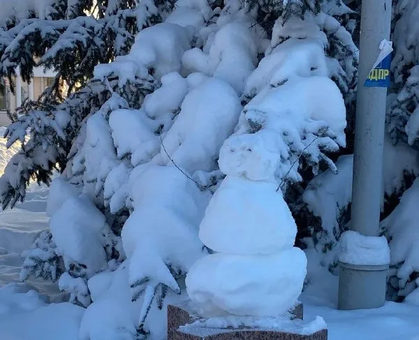 Небольшой снег, туман и дымка - прогноз погоды в ЕАО на 29 ноября