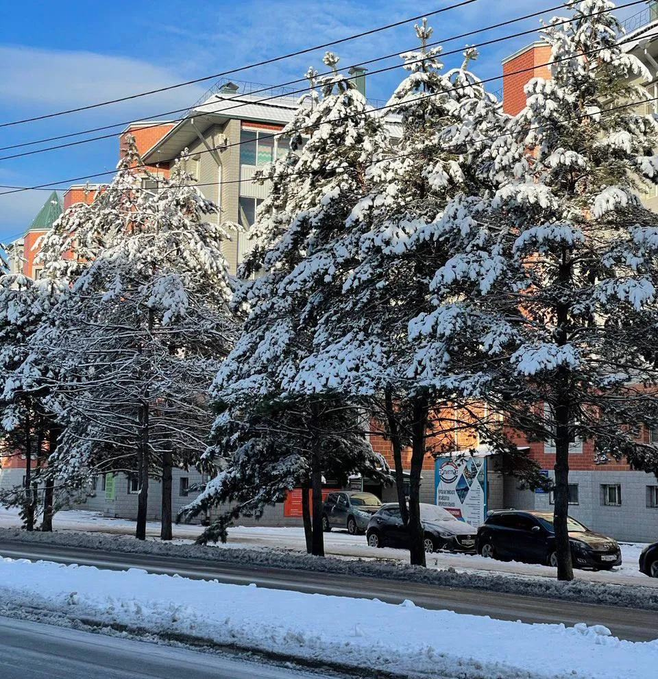 Морозная ночь и солнышко днем: погода на 15 ноября