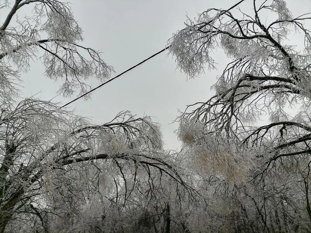 Сегодня возможно «перекрасить» судьбу - народные приметы на 17 декабря