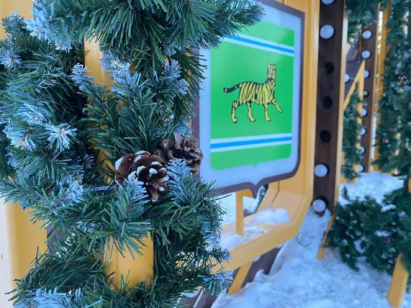 Морозные дни продолжаются в ЕАО – прогноз погоды на 18 декабря