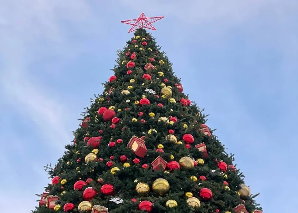 Как избежать похмелья утром 1 января 2022 года