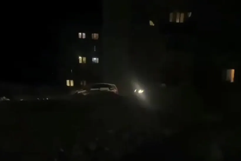 «Не покидайте ночью свое жилище»: тигр вероятно подошел к жилым домам в Биробиджане