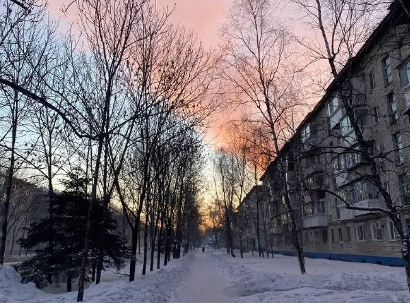 Небольшой снег в течение суток прогнозируют синоптики в ЕАО на 2 января