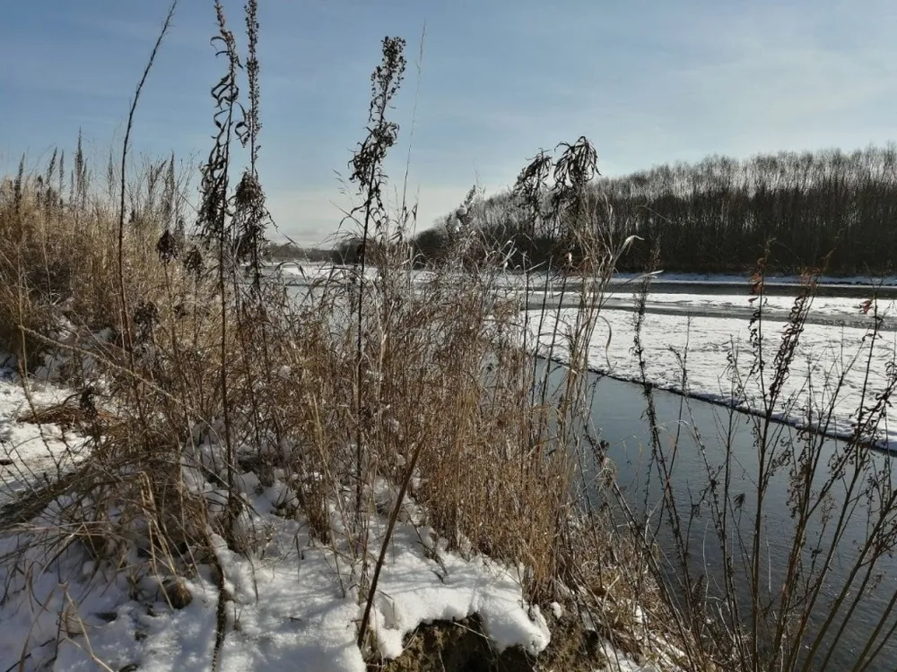 Впервые в Биробиджане проведут расчистку р. Большая Бира