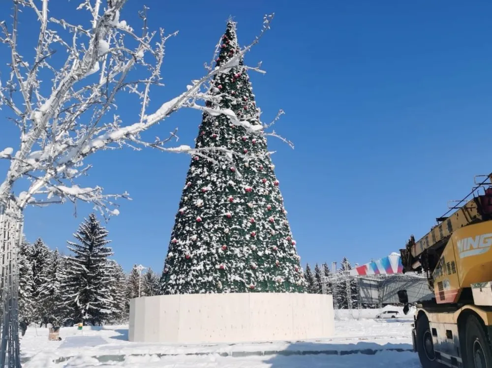 К демонтажу новогодней ели приступили в Биробиджане
