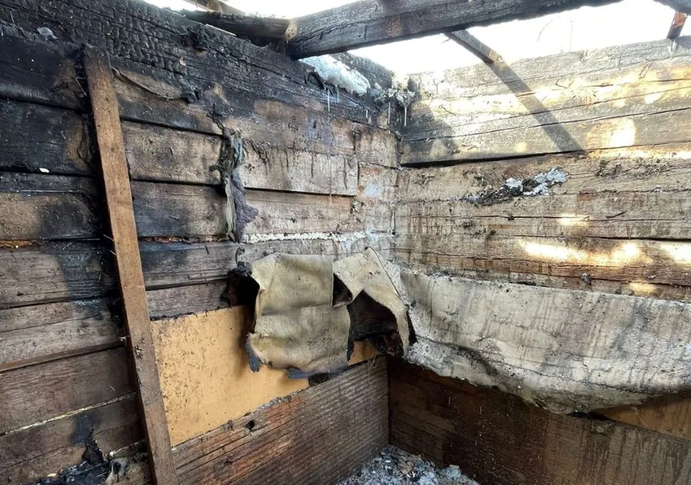 Погибли в пожаре минувшей ночью почти 100 особей домашней птицы  в ЕАО