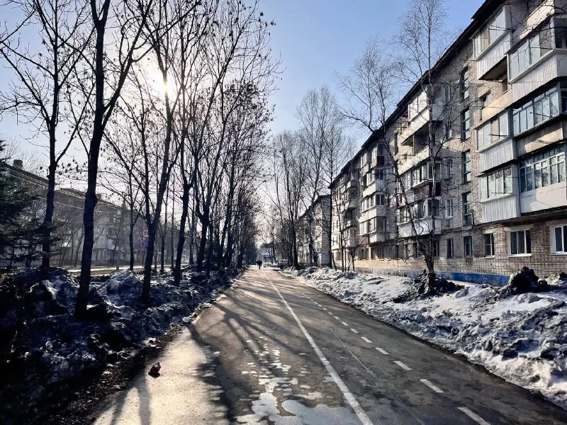 Сильный ветер продолжит дуть в некоторых районах ЕАО 7 апреля - погода