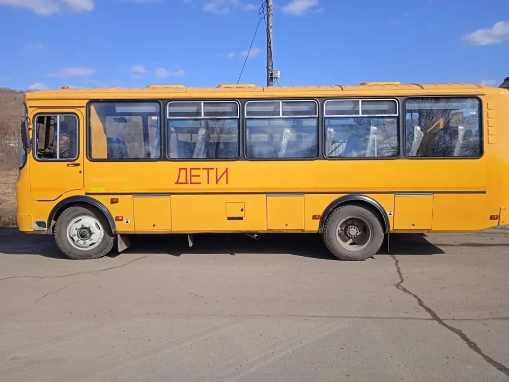 Водителя нашли, ребята поехали в школу - жительница ЕАО о ситуации с подвозом детей