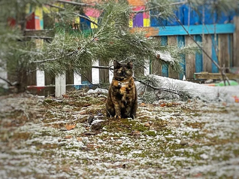 Теплее +10°С прогнозируется в ЕАО 15 апреля - погода