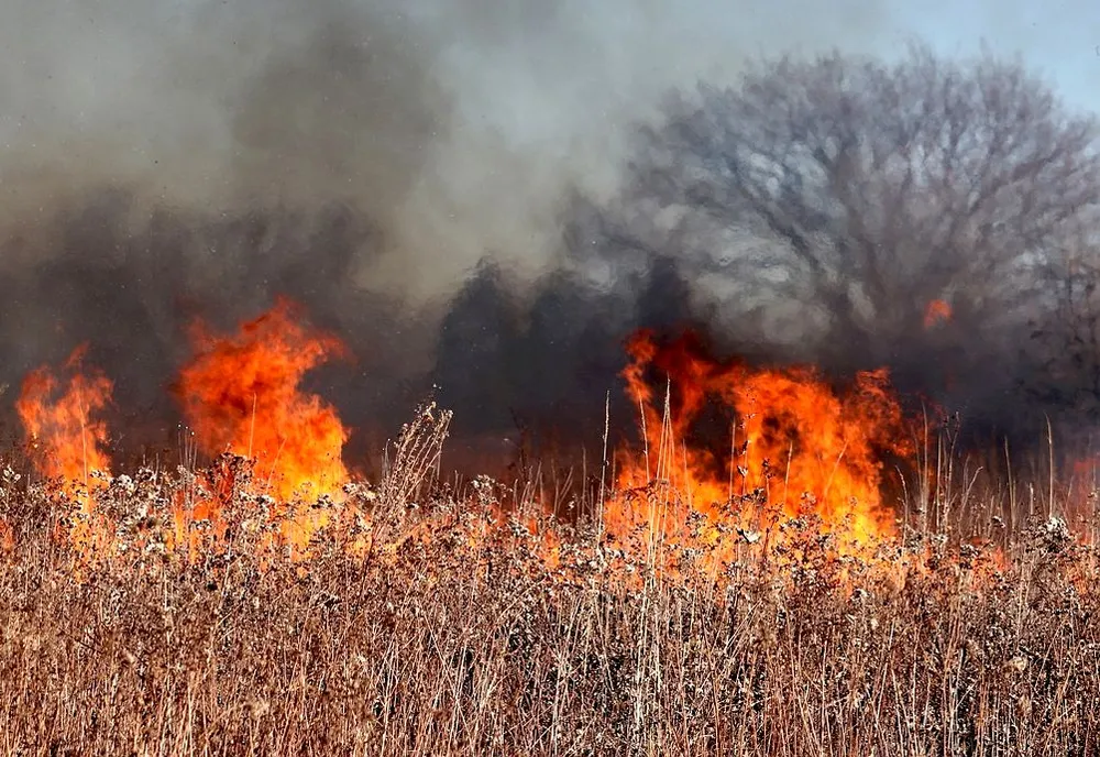 Несовершеннолетний поджигал траву в населённом пункте в ЕАО